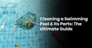 Cleaning A Swimming Pool & Its Parts: The Ultimate Guide