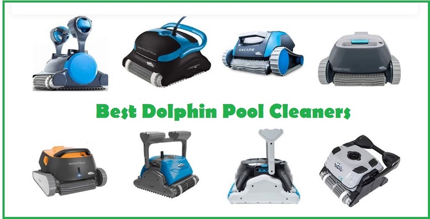 Best dolphin pool cleaners