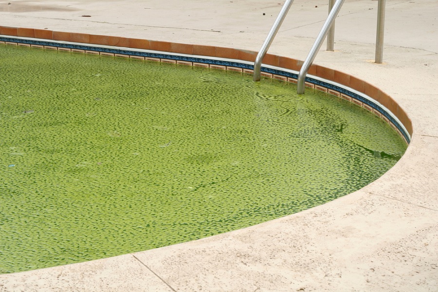 how to clean the pool easy